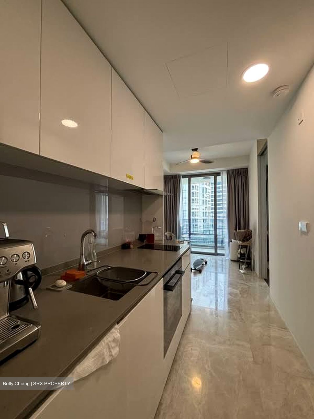Amber Park (D15), Condominium #554710271